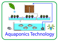 Aquaponic Technologies - Organic Microgreens - Organic - Alfalfa - Sprouts - Wheat Grass and more - Fruit - TMF Florida - www.TMFFlorida.com - Tropical Medical Fruits - www.TropicalMedicalFruits.com