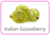 Indian Gooseberry - Fruit - TMF Florida - www.TMFFlorida.com - Tropical Medical Fruits - www.TropicalMedicalFruits.com