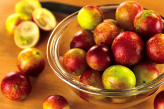Camu Berry - TMF Florida Fruits - www.TMFflorida.com - Tropical Medical Fruits - www.TropicalMedicalFruits.com