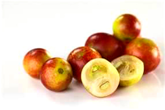 Camu Berry - TMF Florida Fruits - www.TMFflorida.com - Tropical Medical Fruits - www.TropicalMedicalFruits.com