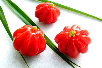 Surinam Cherry - Pitanga - TMF Florida Fruits - www.TMFflorida.com - Tropical Medical Fruits - www.TropicalMedicalFruits.com